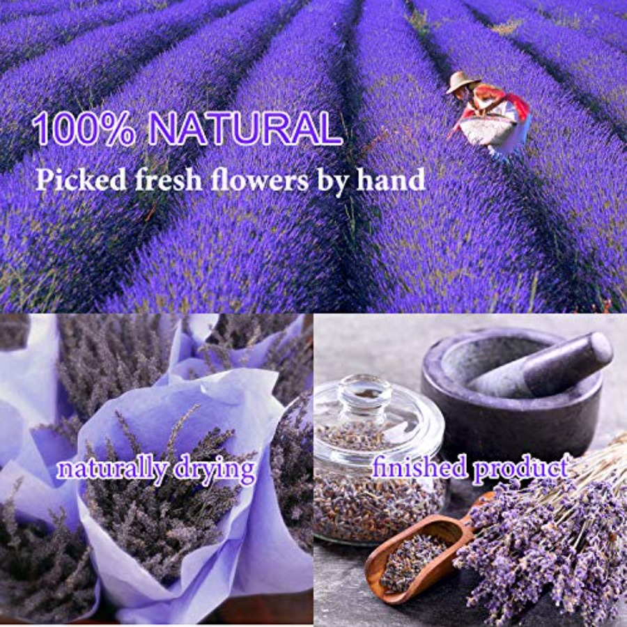 9봉지 건조 꽃, 100% 천연 건조 꽃 허브 키트 ( - Dried Herbs 리뷰 및 가격