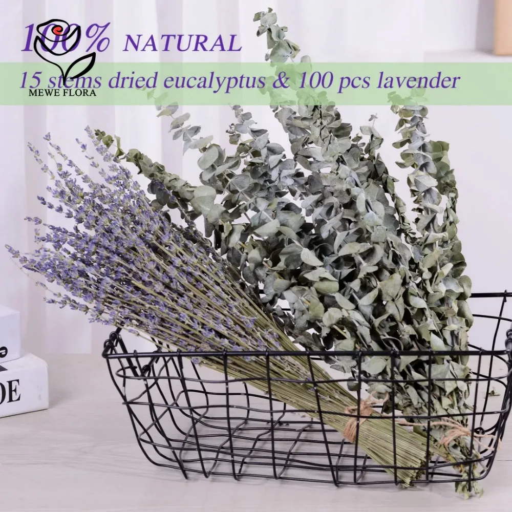 유칼립투스 잎 보존 건조 꽃, 홈 거실 장식, 인공 식 - Dried Herbs 리뷰 및 가격